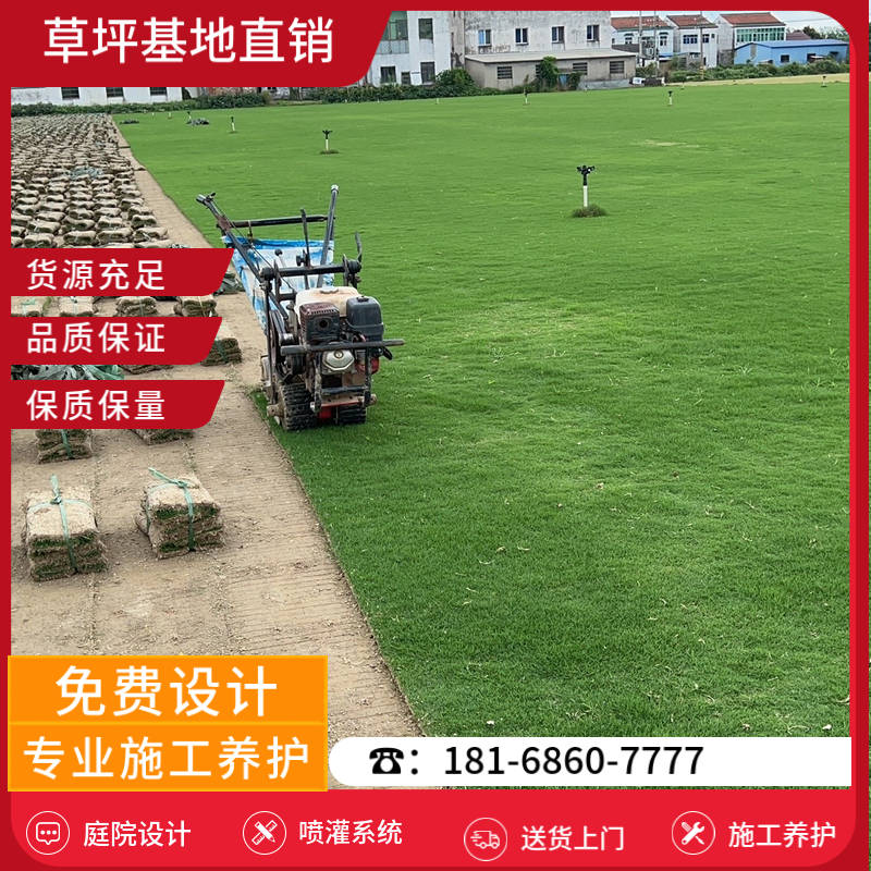 常州草坪厂都有哪些-常州公园草坪基地「哪家好」-基地直销