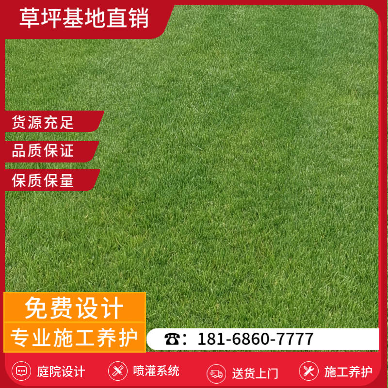 淮南草皮销售基地-淮南百慕大草坪「最好的草坪厂家」-基地直销