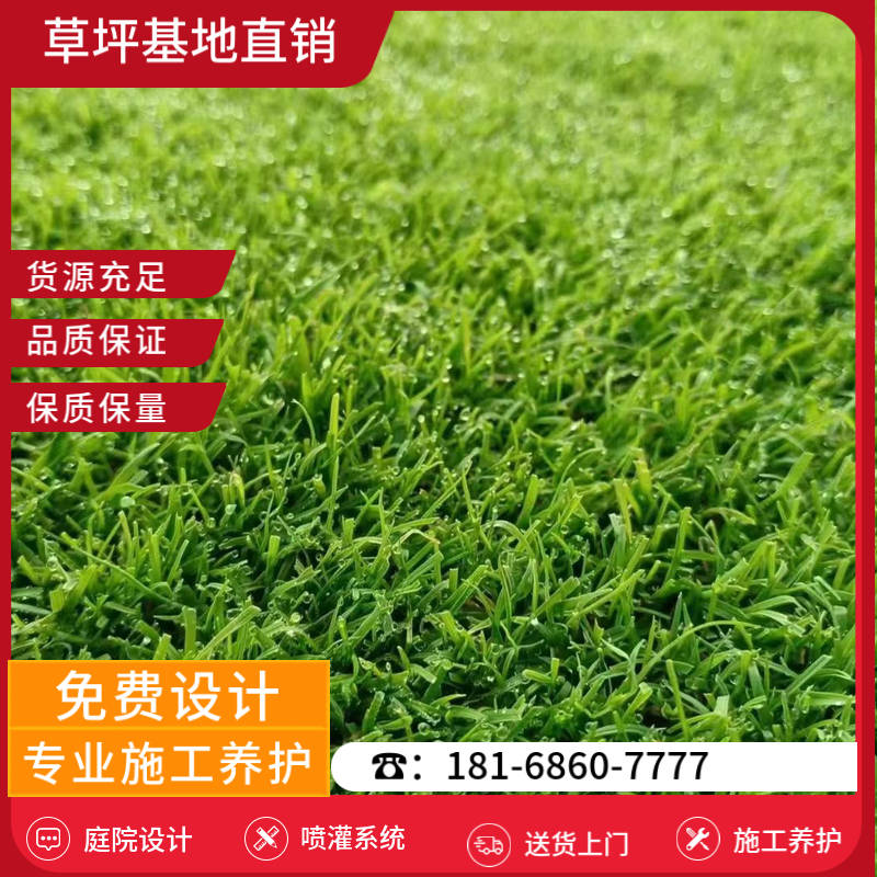 温州草坪基地供应商有哪些-温州高尔夫球场草坪基地「单位」-基地直销
