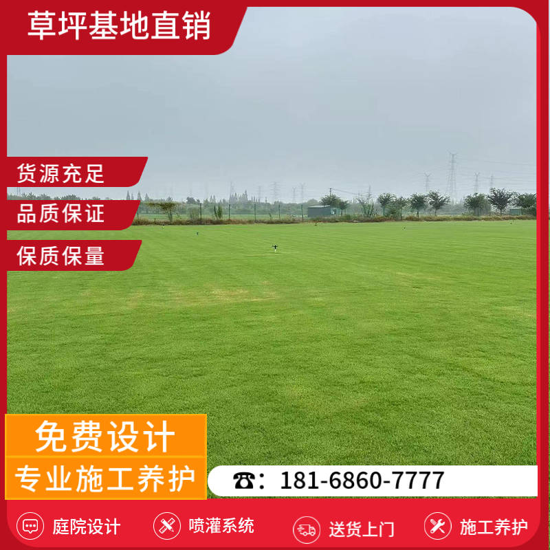 上海草坪供应商-上海公园草坪基地「价格优惠」-基地直销