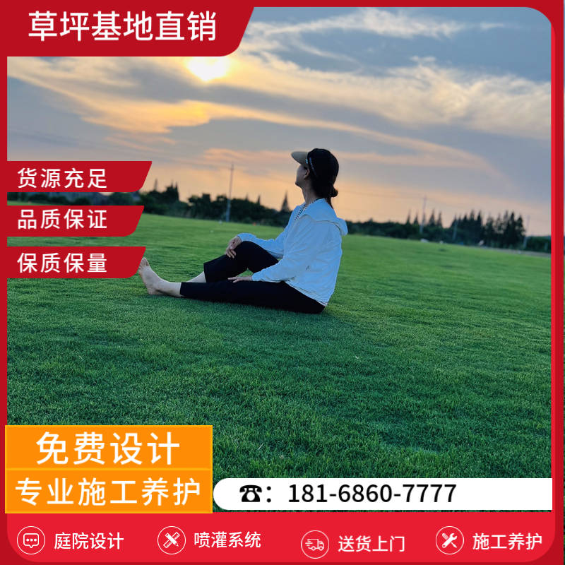 句容草坪销售基地-句容剪股颖草坪「草坪基地价格多少」-基地直销