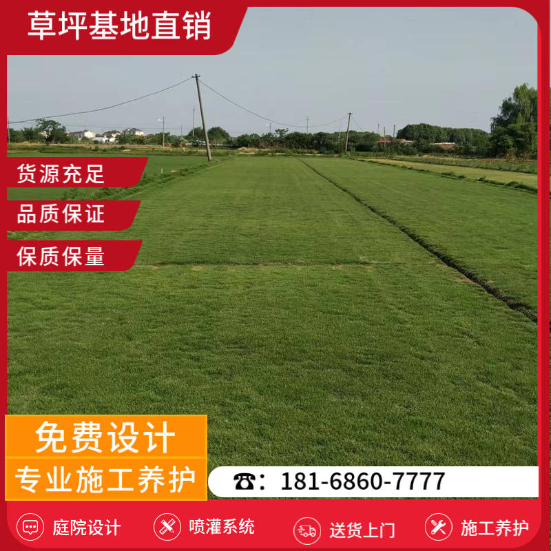 淮南附近草坪基地有哪些-淮南足球场草坪基地「单位」-基地直销
