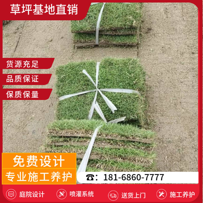 姜堰草坪基地喷灌设备-姜堰公园草坪基地「服务周到」-基地直销