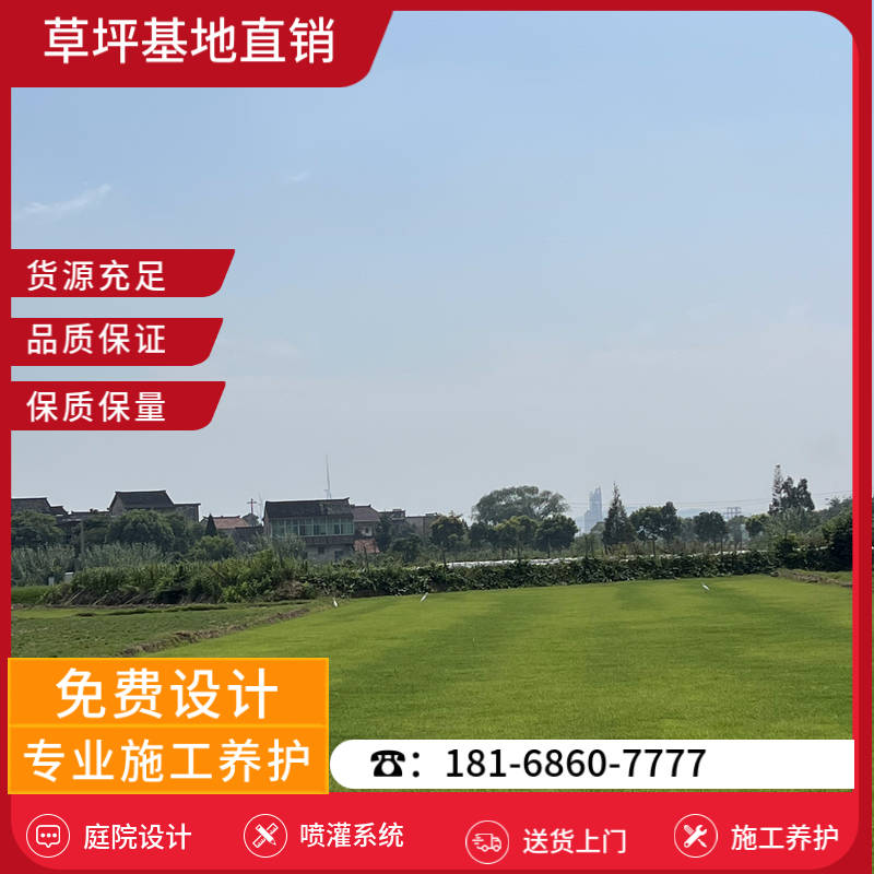 盱眙草坪种植基地-盱眙天富道草坪「合作共赢」-基地直销