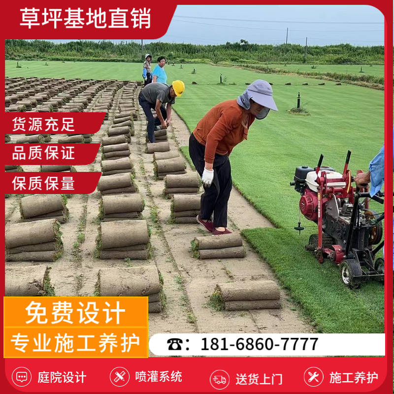 溧阳草坪基地厂家-溧阳百慕大草坪基地「最新价格」-基地直销