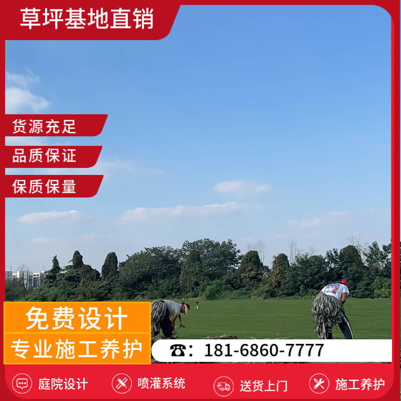 杭州草坪批发-杭州足球场草坪基地「单位」-基地直销