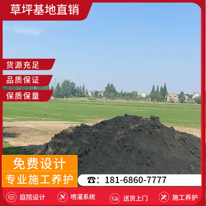 宁波草坪种植基地-宁波足球场草坪基地「品质服务」-基地直销
