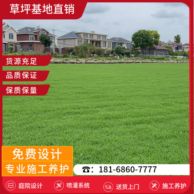 沭阳草坪价格多少一平方-沭阳中华结缕草草坪基地「价格」-基地直销