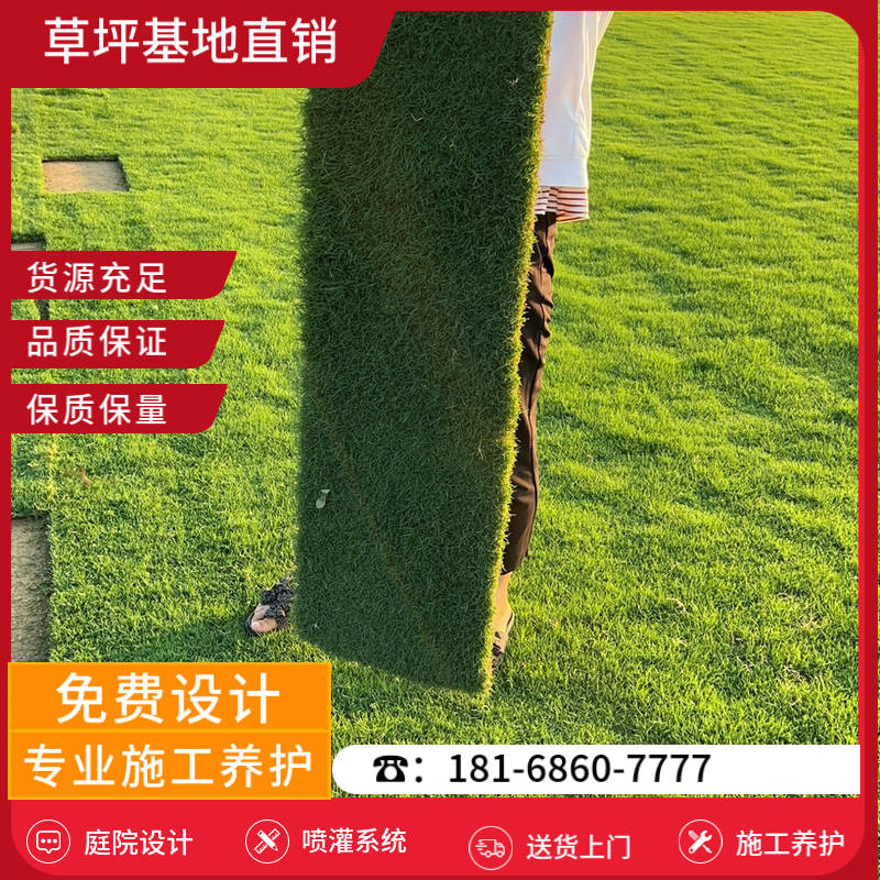 句容草坪基地供应商有哪些-句容百慕大草坪基地「最新价格」-基地直销