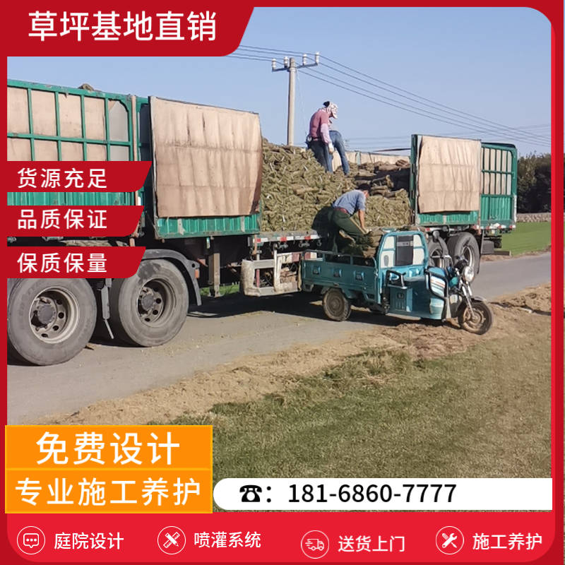 宝应草坪基地厂家前十-宝应高尔夫球场草坪基地「用心服务」-基地直销