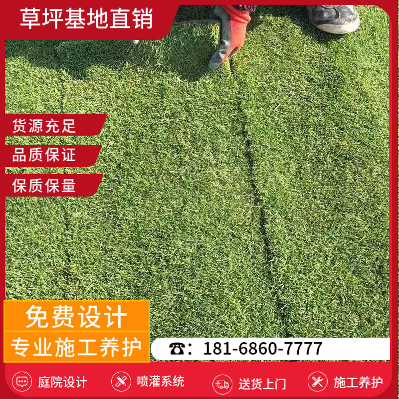 扬州草皮养护-扬州混播草坪基地「哪家好」-基地直销