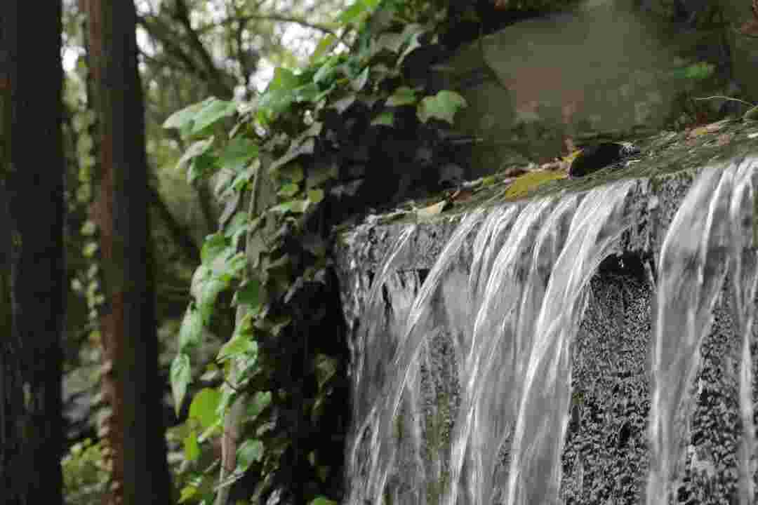 惠水县高三复读机构哪家正规<周末辅导>2026top一览