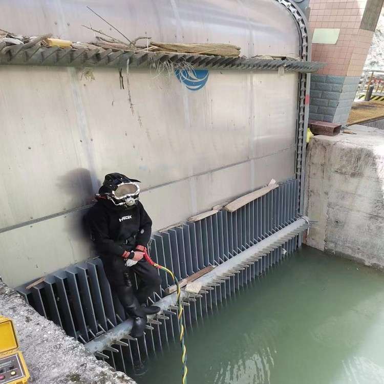 丹东膜袋销售公司2026丹东长期供应