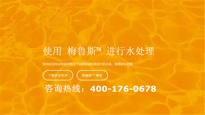 2026高效之选：德国梅鲁斯™量子环公司怎么选