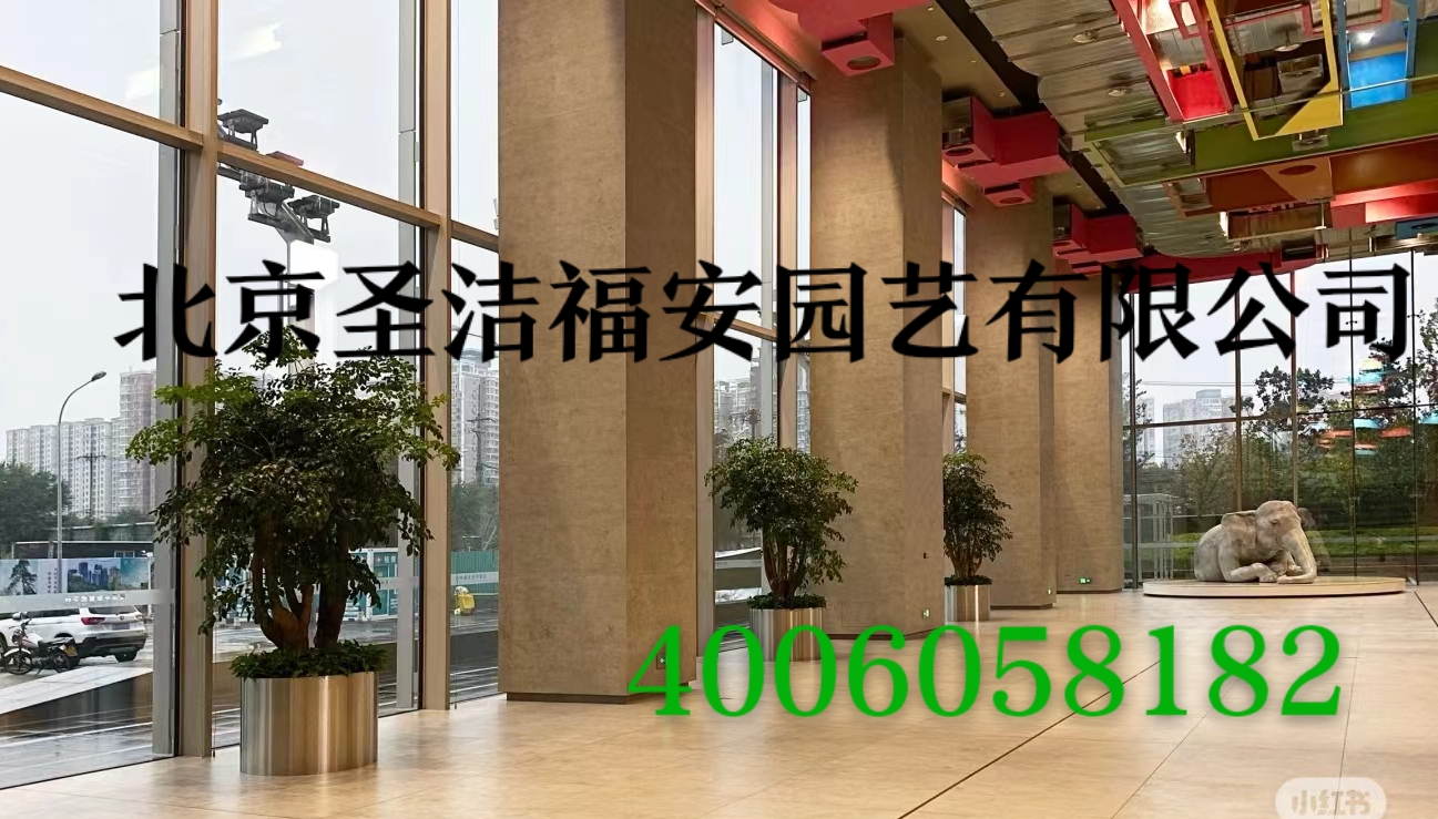 2026高性价比之选：丰台室内绿植租赁/高端室内造景源头公司推荐