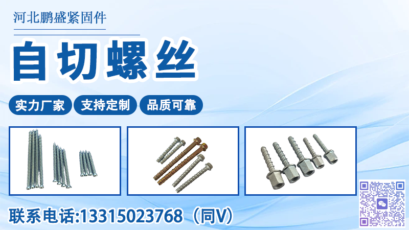 2026高性价比之选：工程专用水泥自切螺丝/水泥自切螺丝沉头/盘头厂家推荐