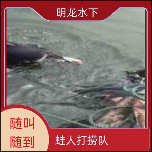 昆明市水下作业公司2026<文明施工单位>