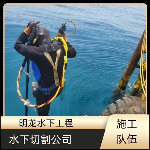 鹤壁市污水管道气囊封堵公司2026<潜水作业公司>