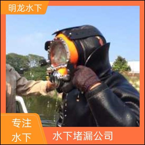 淮北市管道气囊封堵公司2026<水下服务施工>