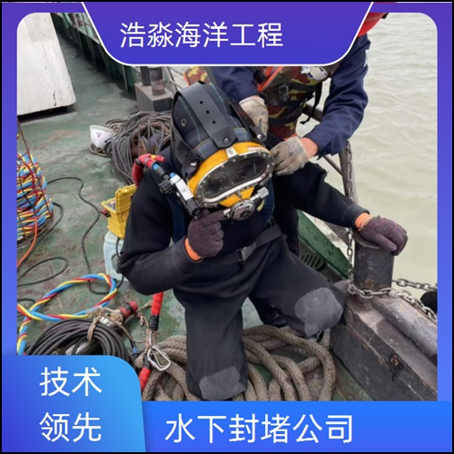 白城市蛙人水下作业公司-2026水下检查维修