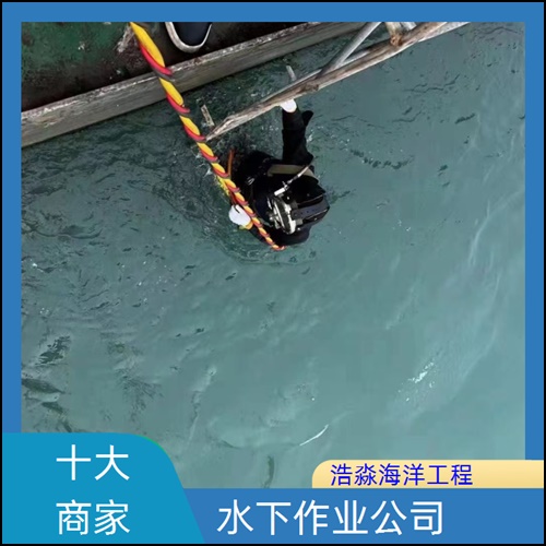 钦州市水下封堵漏-2026承接各种水下工程