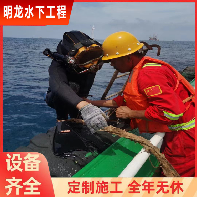 宜春市打捞队2026<各类水下工程服务>