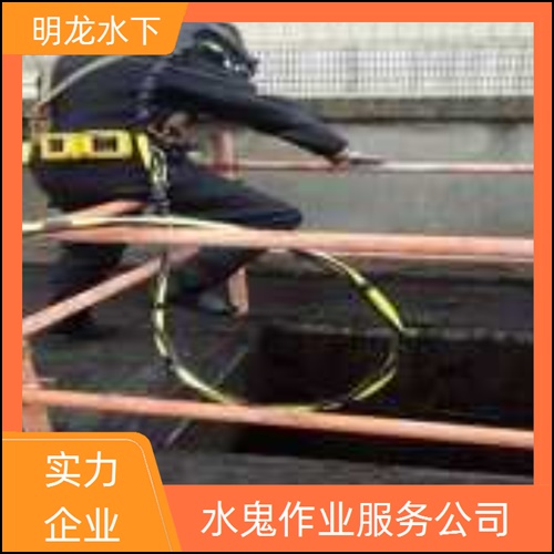 鹤岗市管道气囊封堵公司2026<蛙人水下检查>