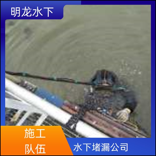 防城港市管道气囊封堵公司2026<专业24小时服务>