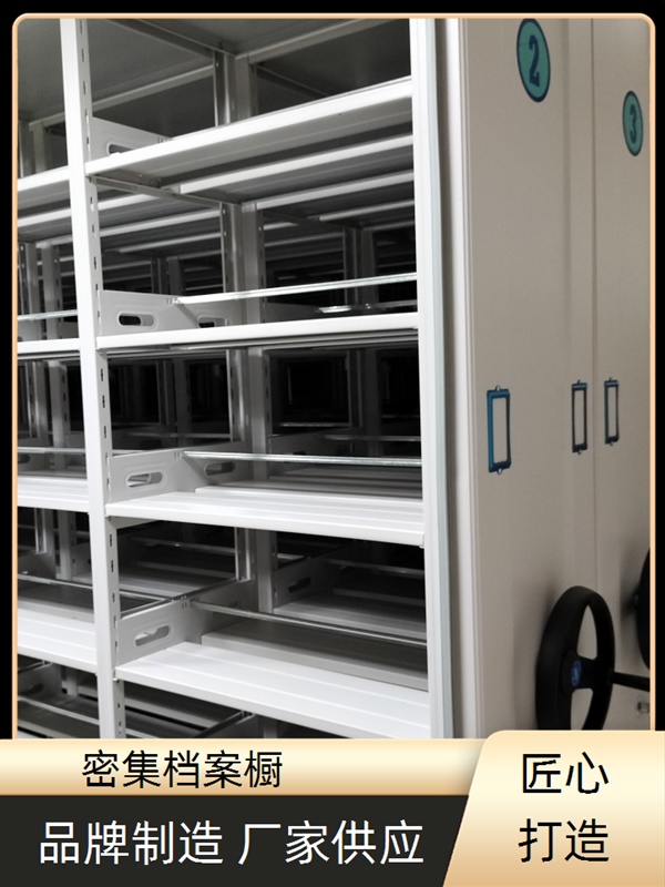 衡阳智能控制档案柜厂家2026密集柜