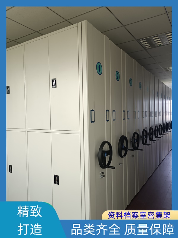 湖北孝感手动密集柜-橱式密集架加工2026